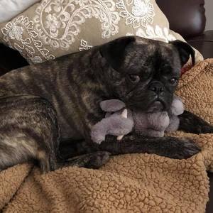 Fundraising Page: Jenny Foster